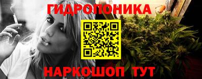 молекула духа Рузаевка