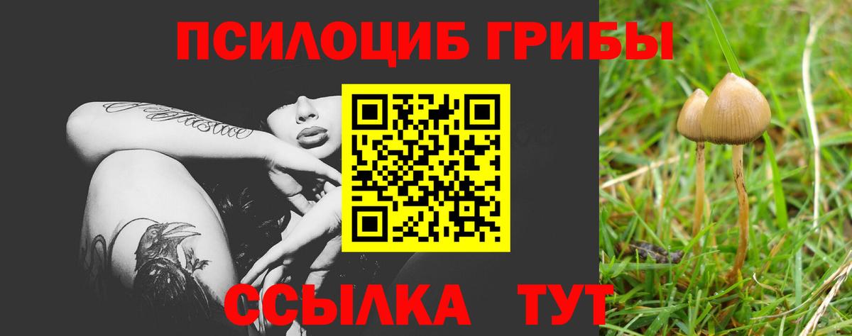 Псилоцибиновые грибы ЛСД  Галлюциногенные грибы прущие грибы  Санкт-Петербург  Вход с VPN 