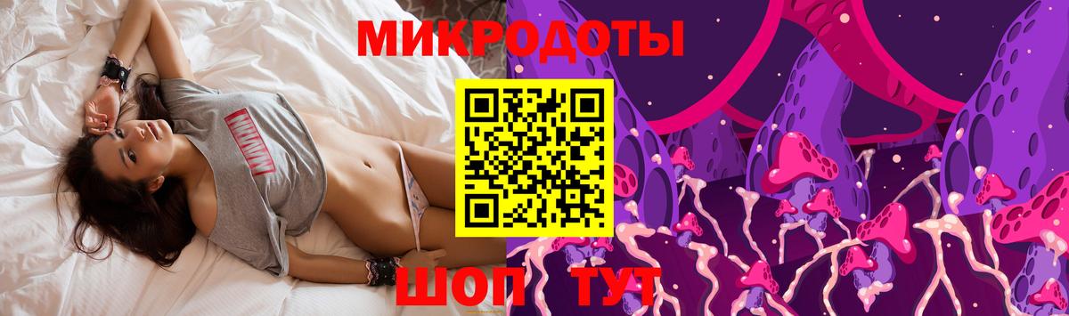 Псилоцибиновые грибы Cubensis Санкт-Петербург